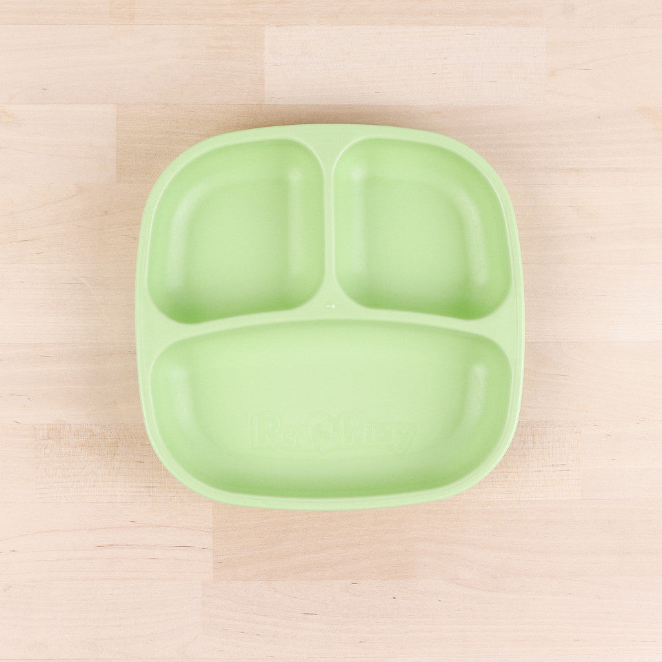 RP-SP-PlateDiv-Leaf - RP-SP-PlateDiv-Leaf-1.jpeg