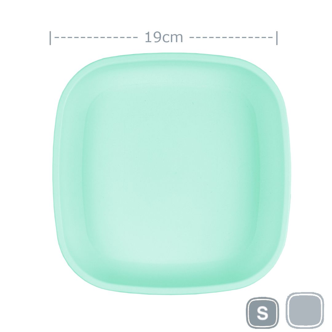 Replay Flat Plate Mint