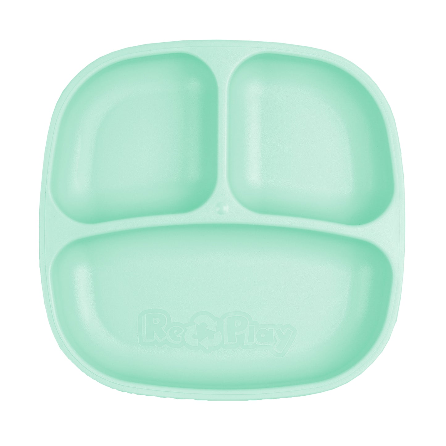 Replay Divider Plate  Mint